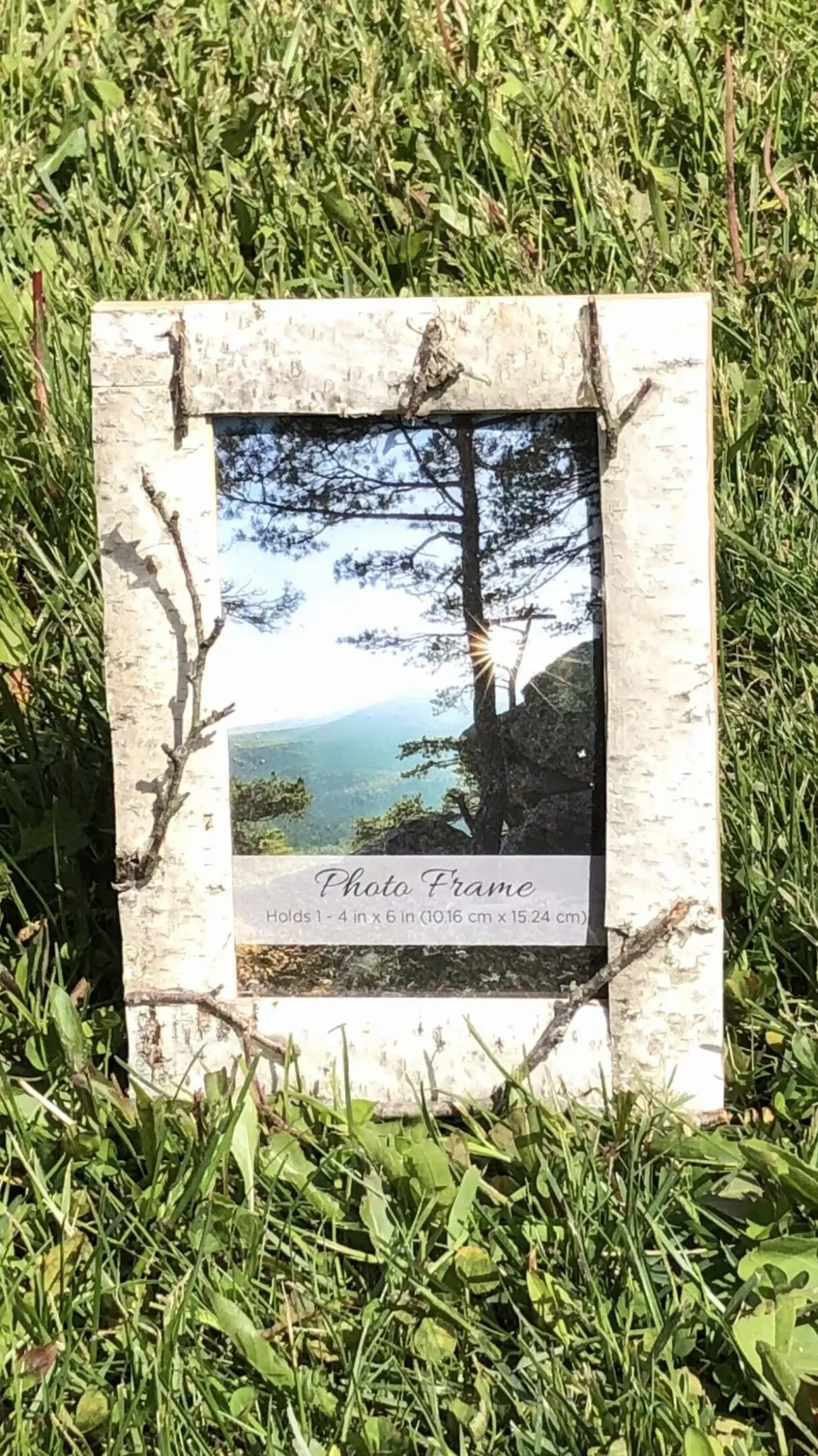 Rustic photo frame with a nature scene, placed on grass.