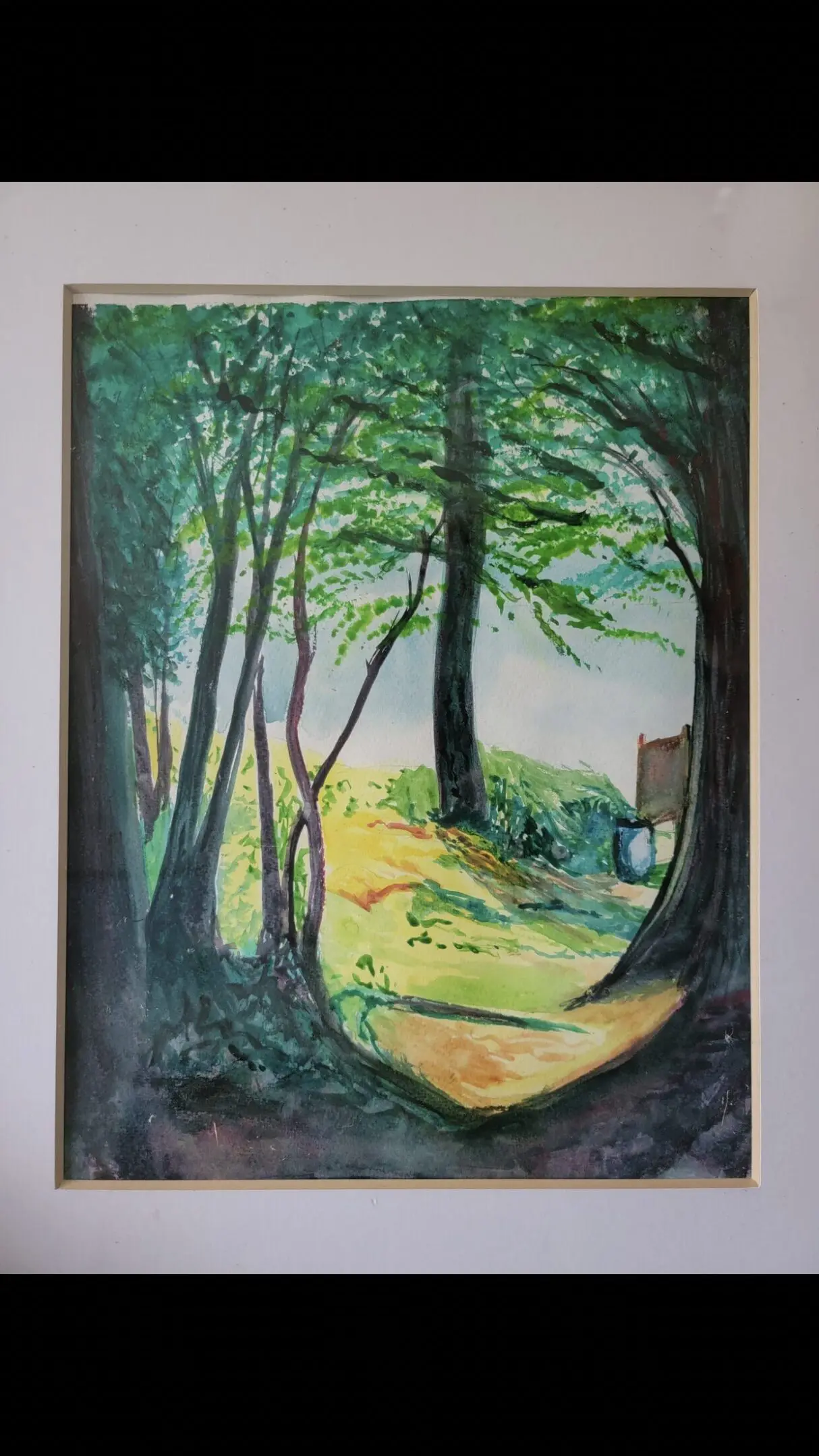 A serene forest pathway bathed in sunlight with lush green trees.