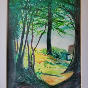 A serene forest path with sunlight filtering through tall trees.