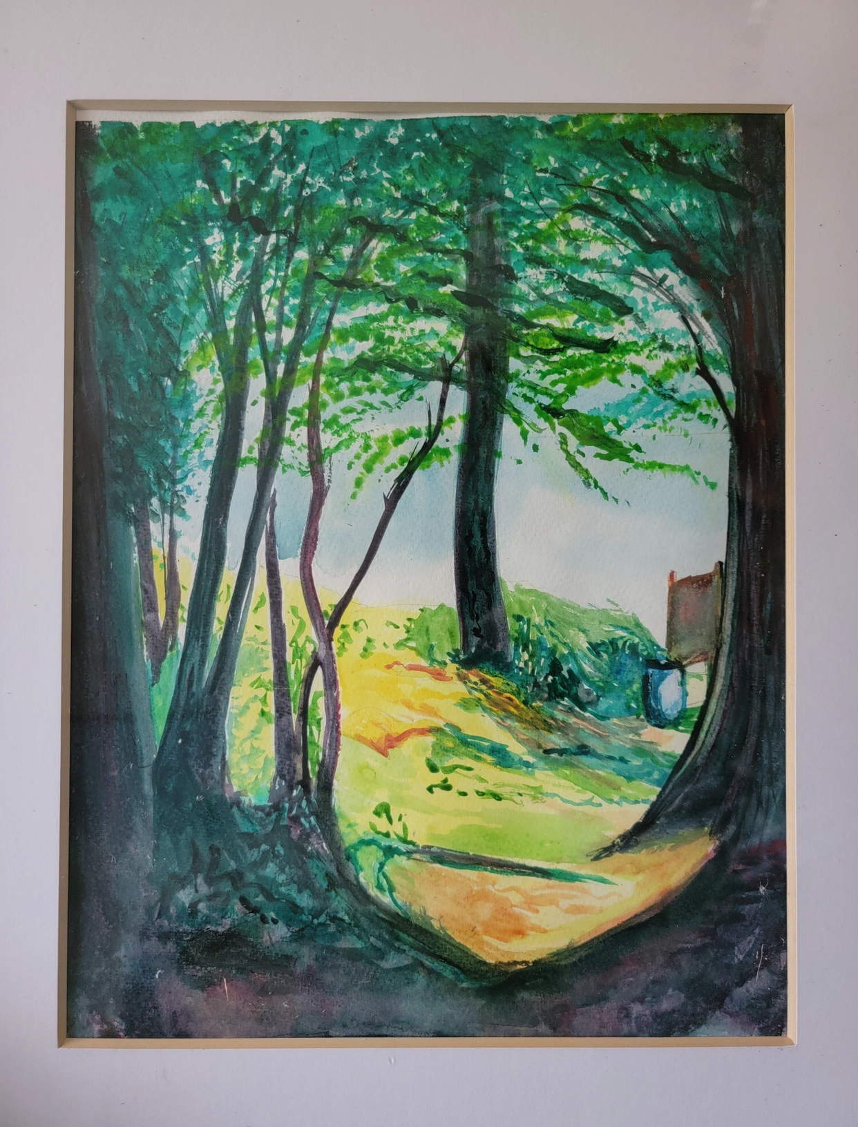 A serene forest path with sunlight filtering through tall trees.