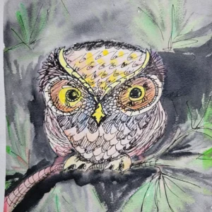 A colorful owl perched on a branch with detailed feathers and bright eyes.